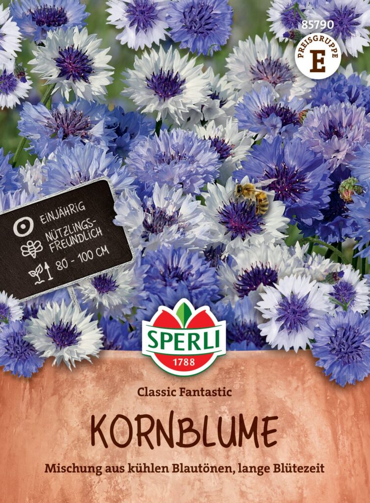 Blauw witte korenbloemen