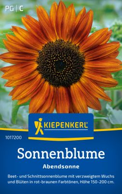 Oranje gouden zonnebloem.