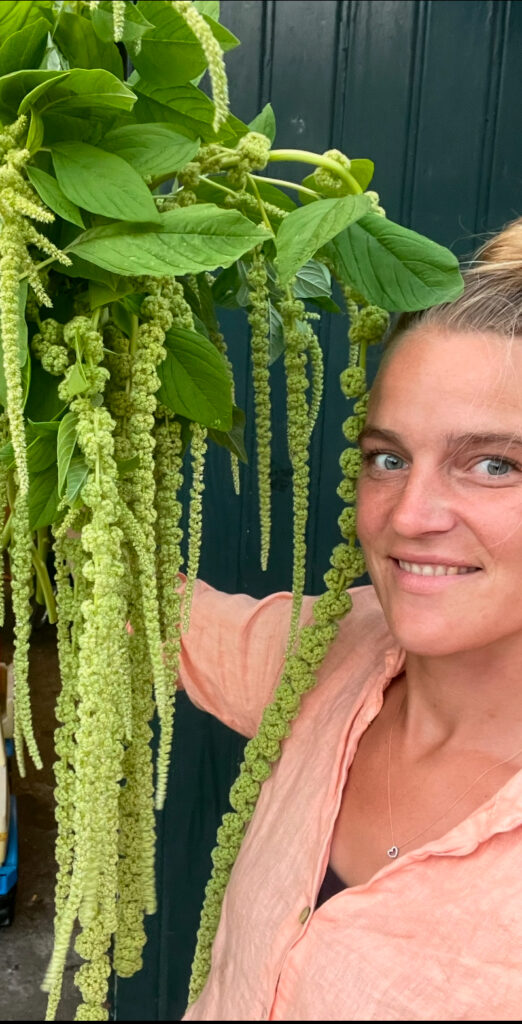 Special Unique Flower Seeds Me with Amaranthus, cut flowers Easy-to-grow flowers seeds.