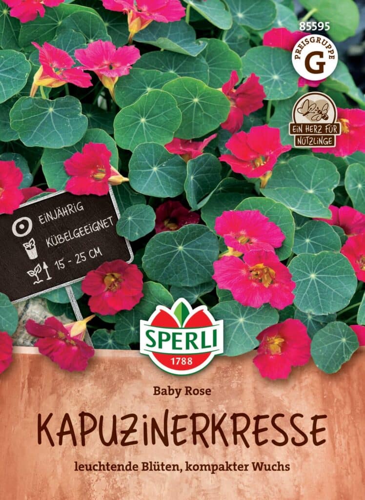 nasturtium, black , Pink rose, oost-indische kers.